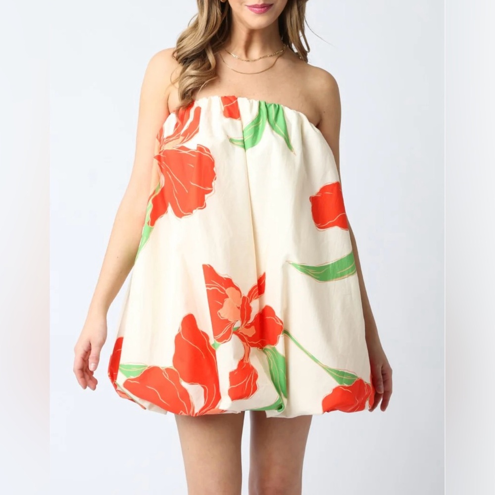 Bandit and the Babe Bubble Dress - L